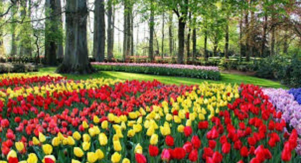 Photo of Others in Colebrook