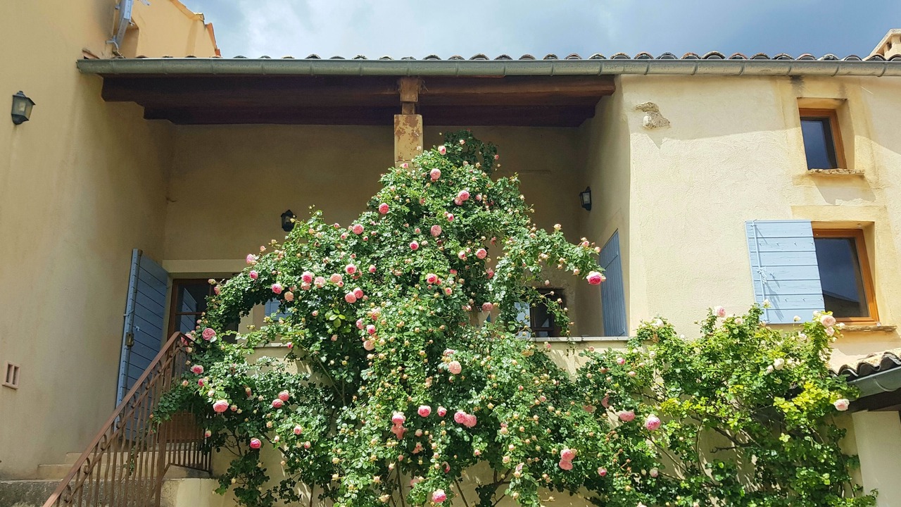 Photo of Outdoor in Ongles