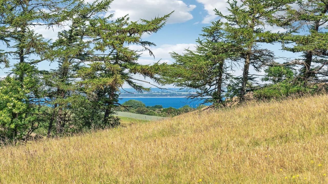 Photo of Bedroom in Knebel