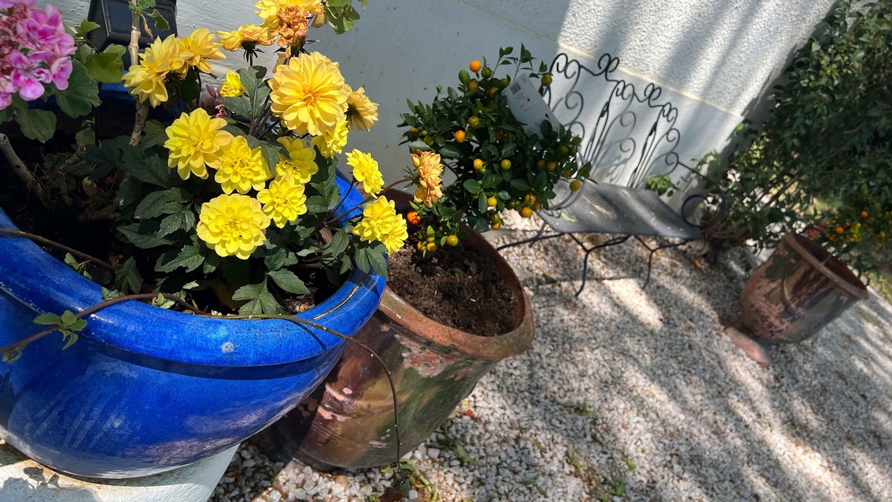 Photo of Outdoor in Espira de l'Agly