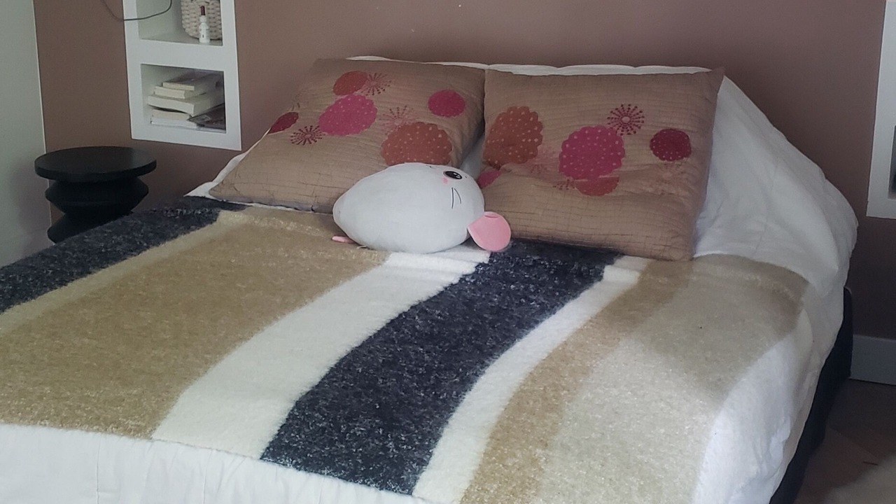 Photo of Bedroom in Pibrac