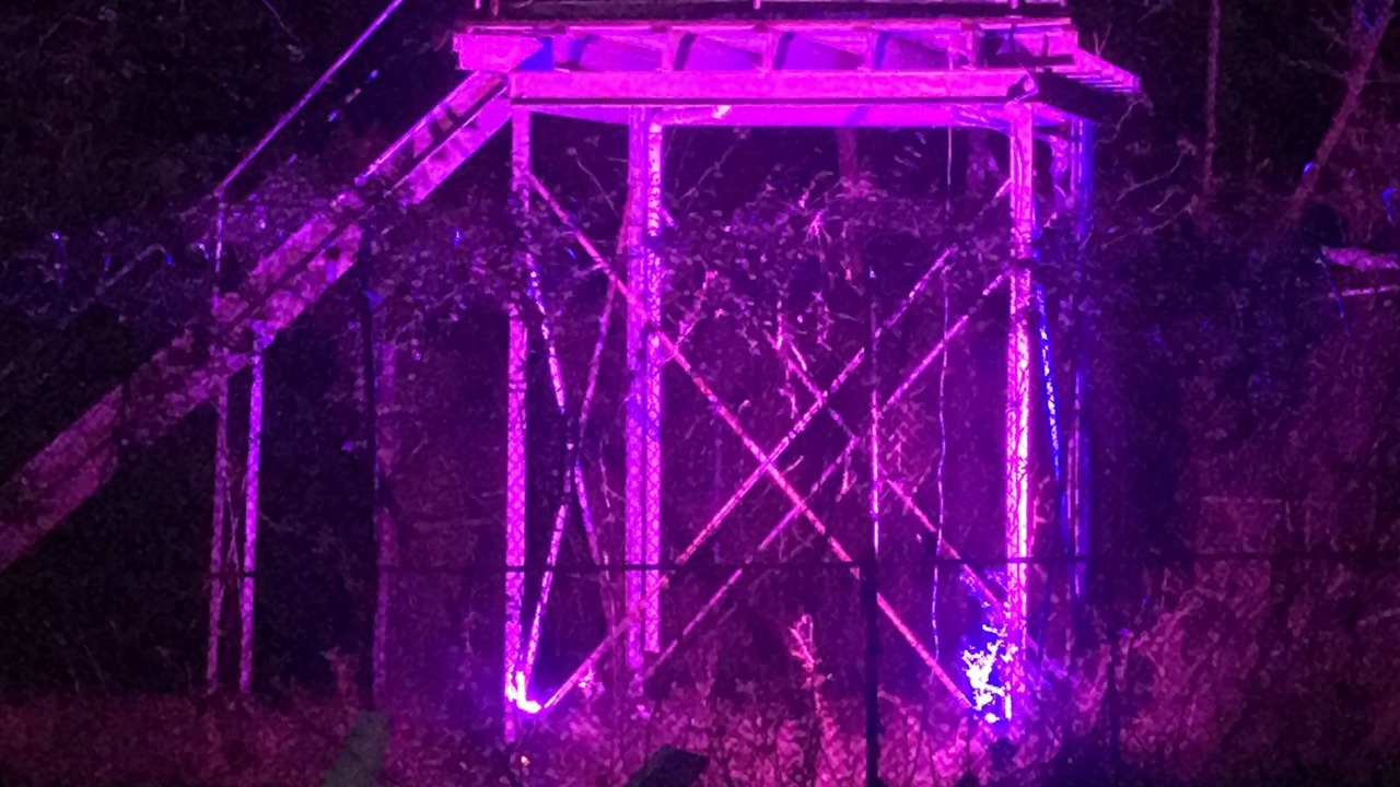 Photo of Outdoor in Wise