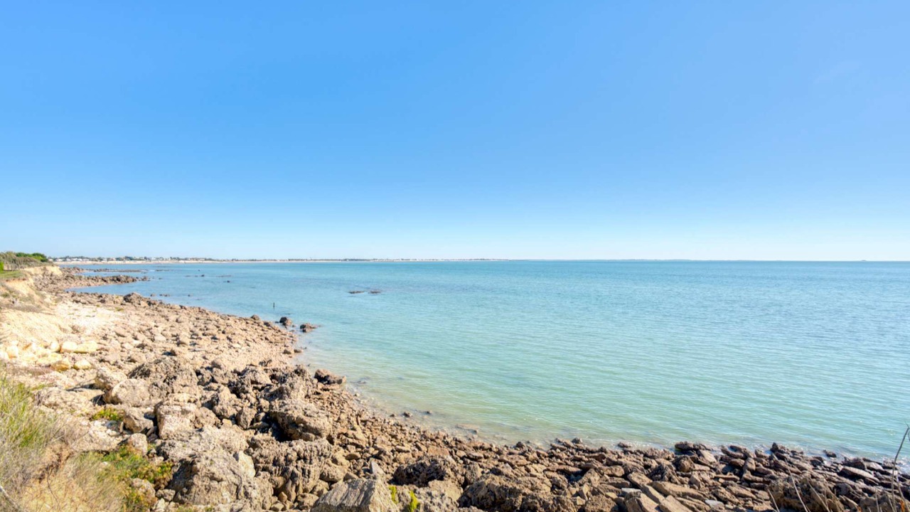 Photo of Others in Angoulins