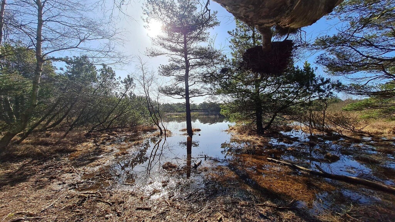 Photo of Others in Kongsmark