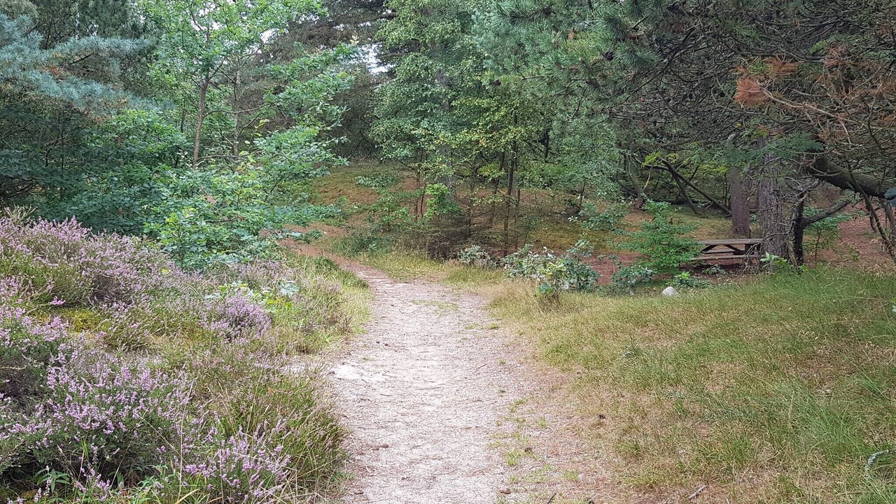 Photo of Others in Kongsmark