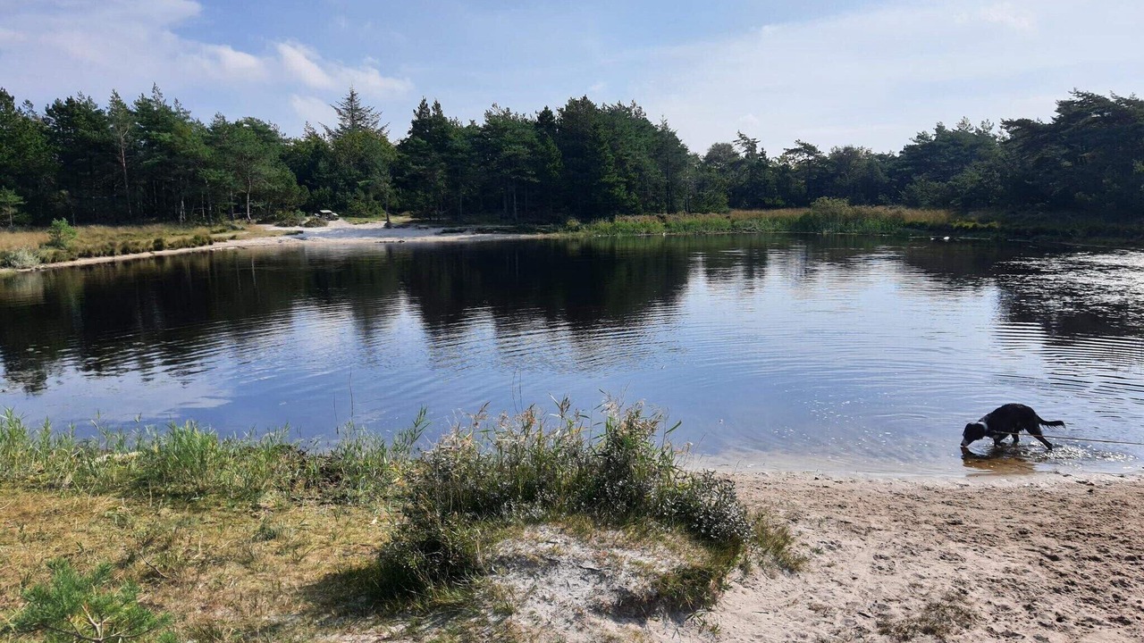 Photo of Others in Kongsmark