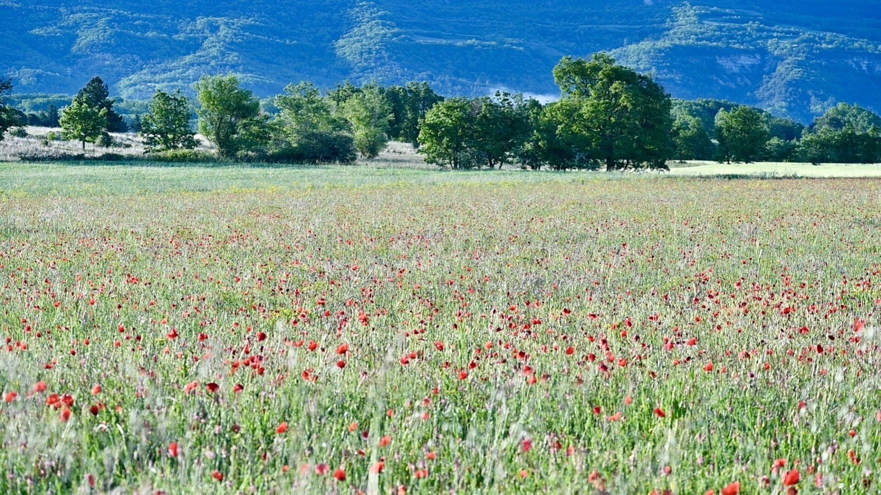 Photo of Outdoor in Ongles