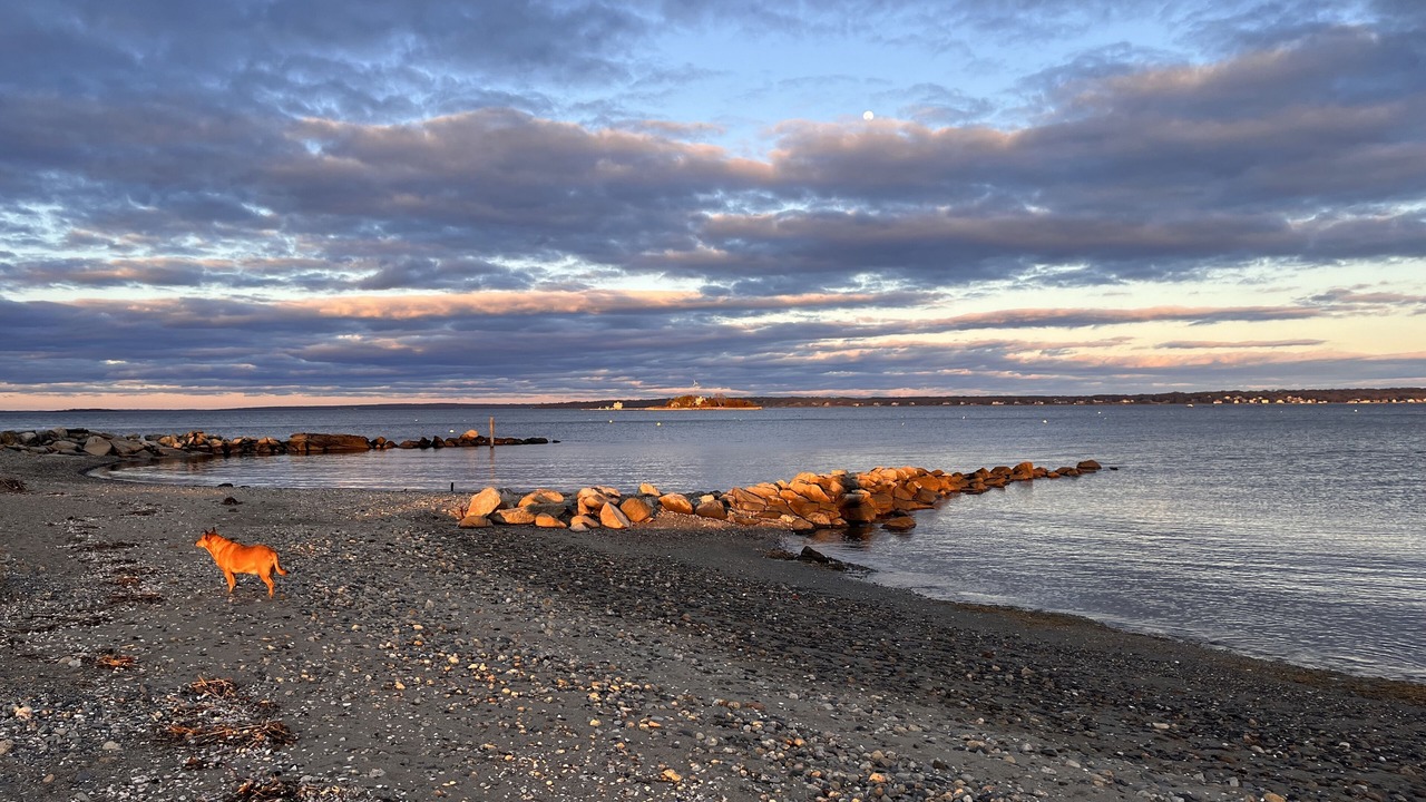 Photo of Others in North Kingstown