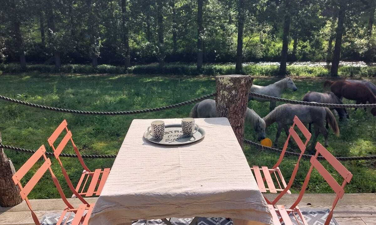 Photo of Outdoor in Cassagnes-Begonhes