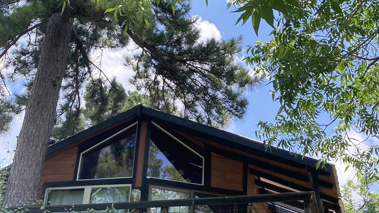 Photo of Outdoor in Willis