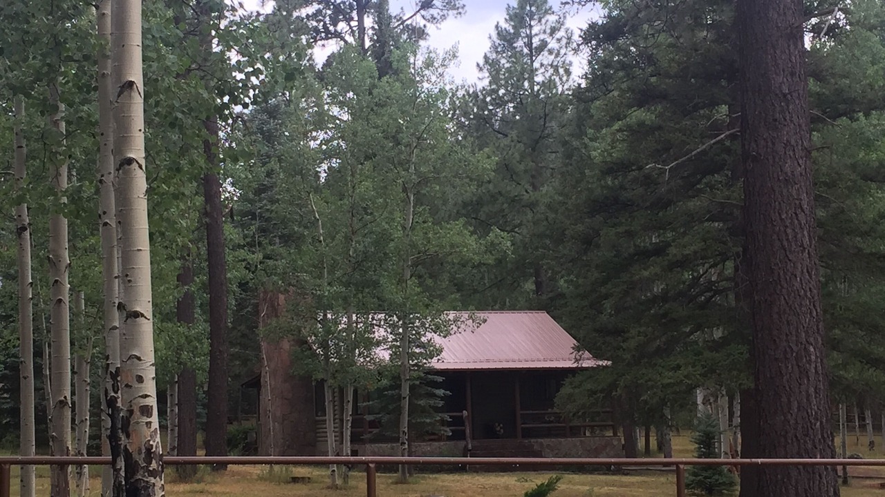 Photo of Outdoor in Alpine