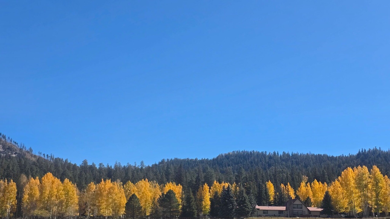 Photo of Others in Alpine