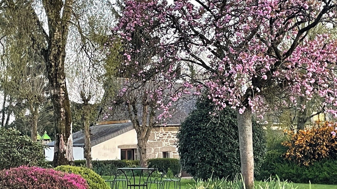 Photo of Outdoor in Saint-Nicolas-du-Pelem