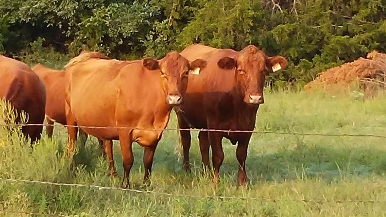 Photo of Outdoor in Lincoln County