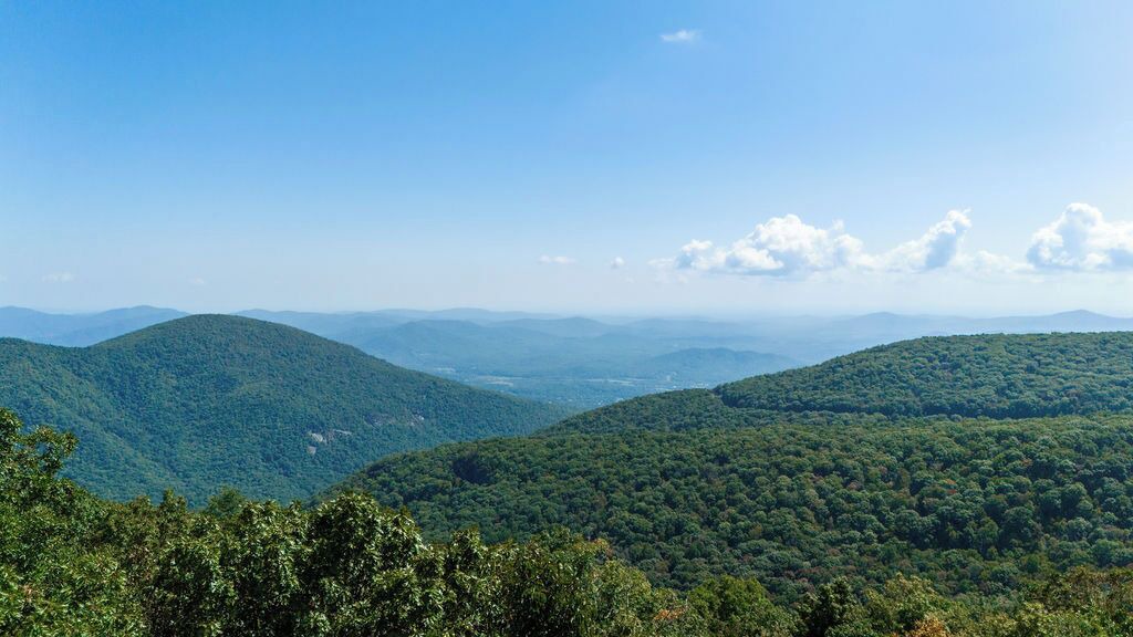 Photo of Others in Wintergreen