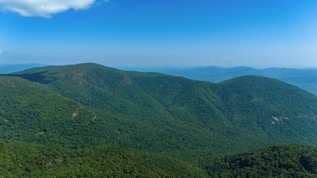 Photo of Others in Wintergreen