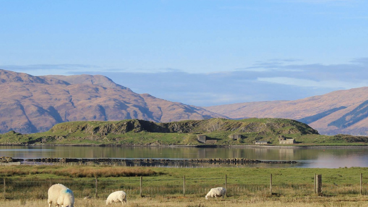 Photo of Others in Port Appin