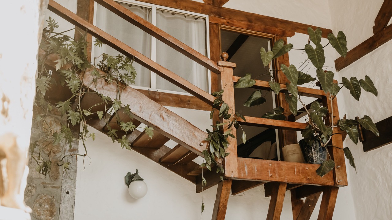 Photo of Others in Uki