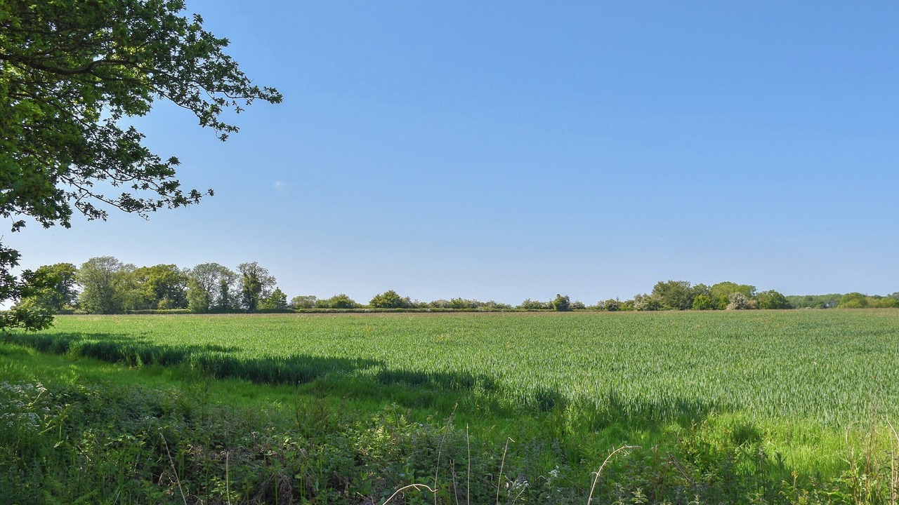 Photo of Others in Foxley