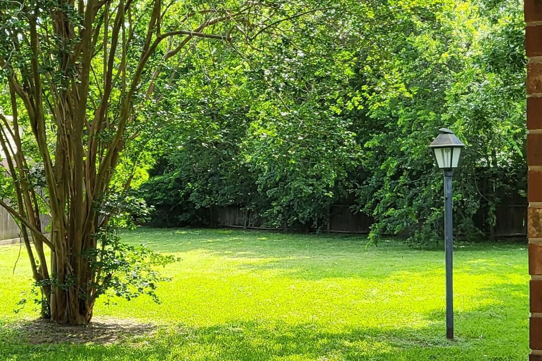 Photo of Outdoor in Barker