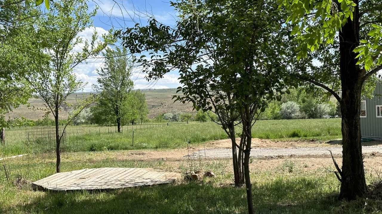 Photo of Outdoor in Lazear