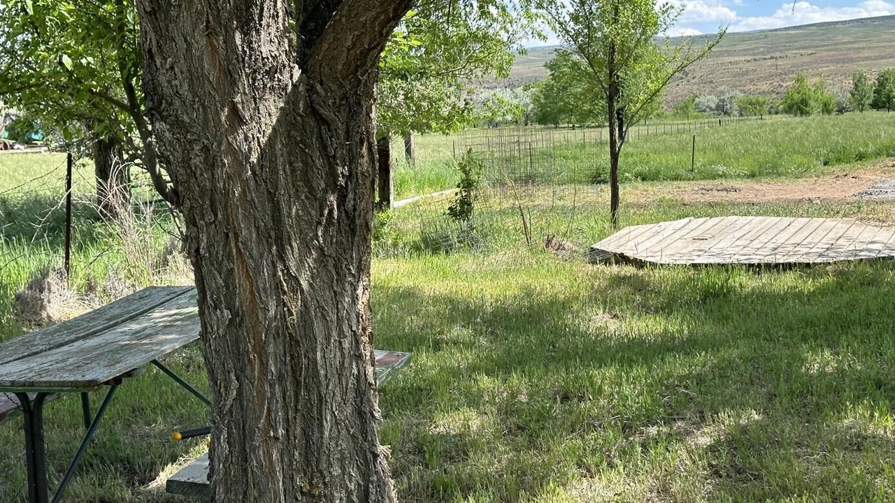 Photo of Outdoor in Lazear