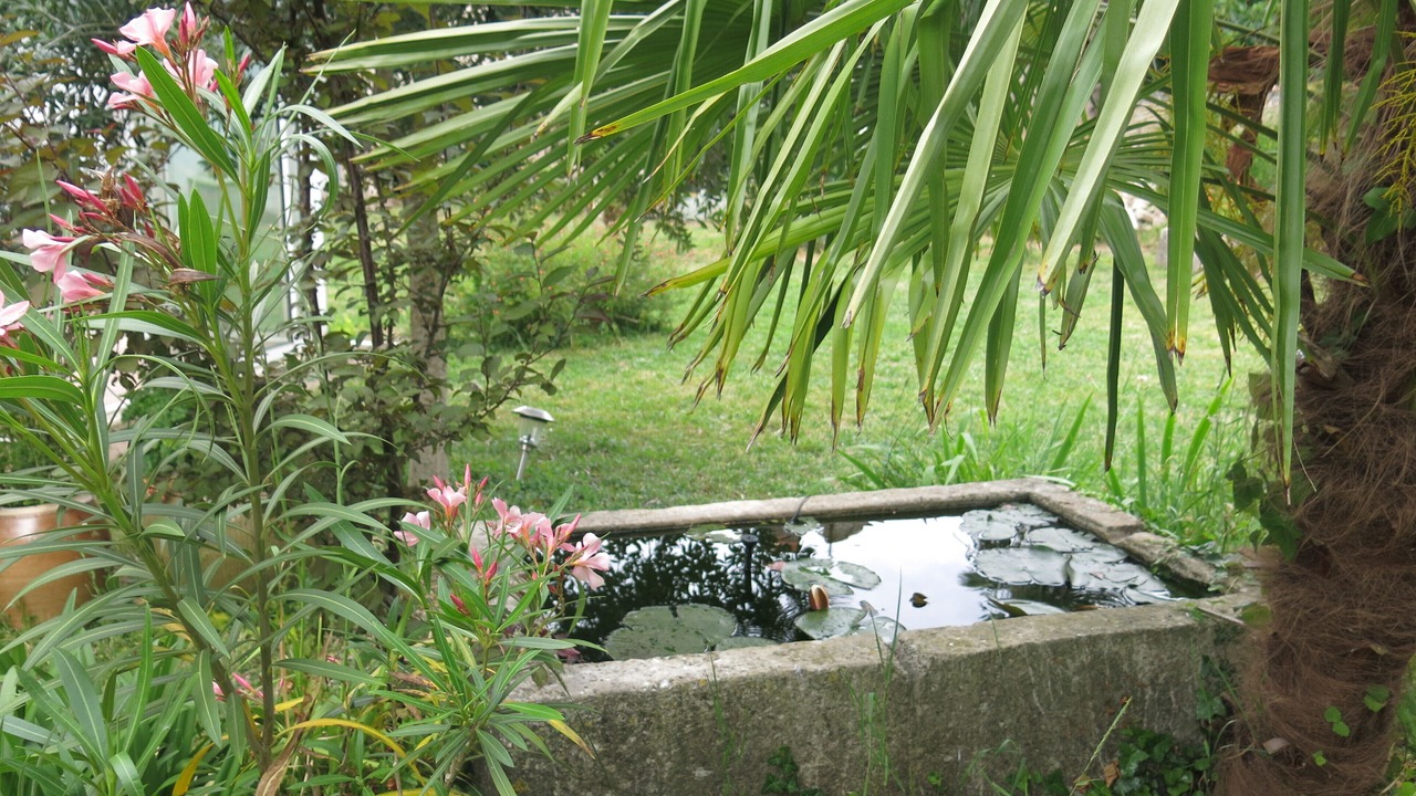 Photo of Outdoor in Lucon