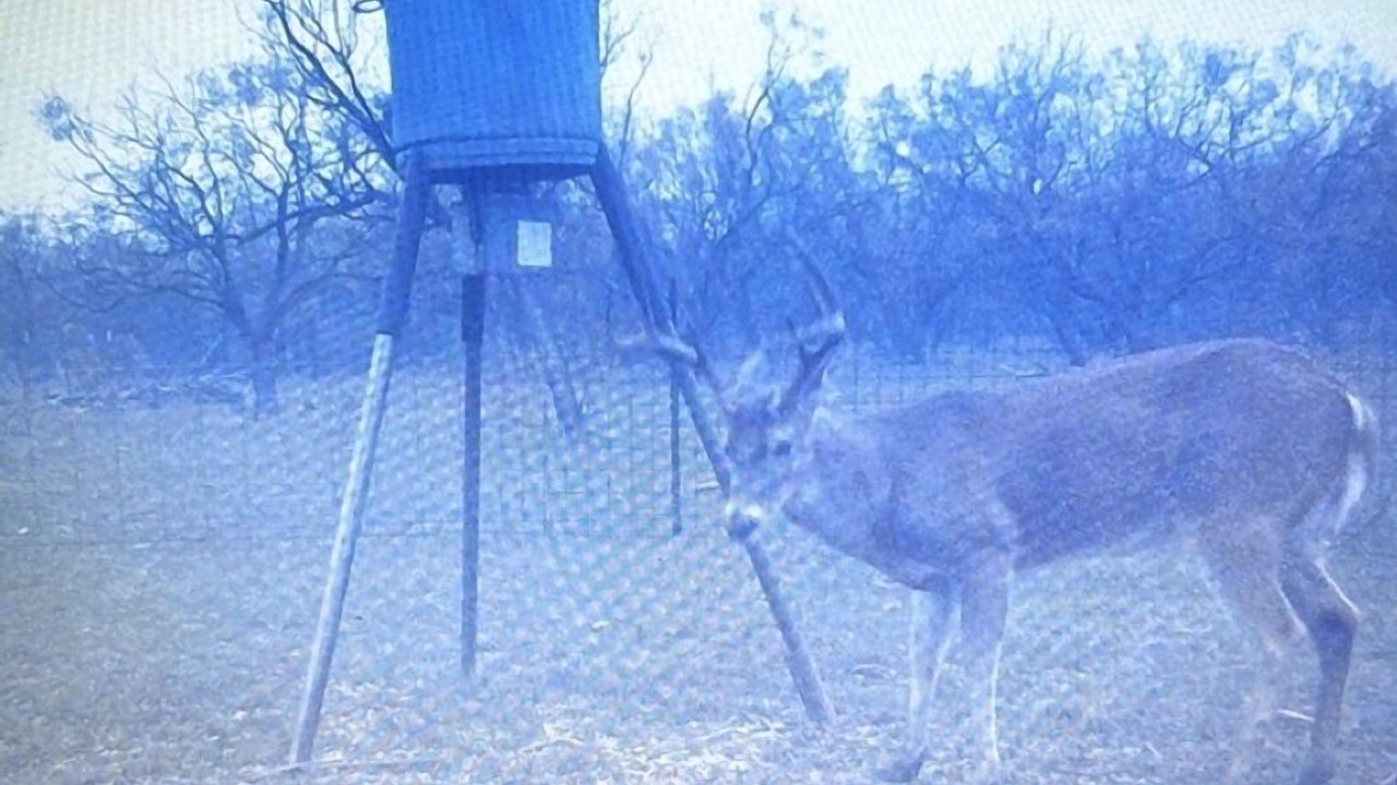 Photo of Others in Potosi