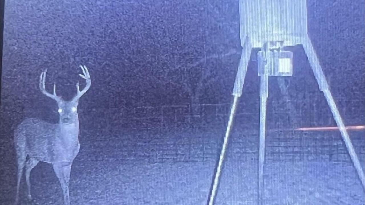 Photo of Others in Potosi