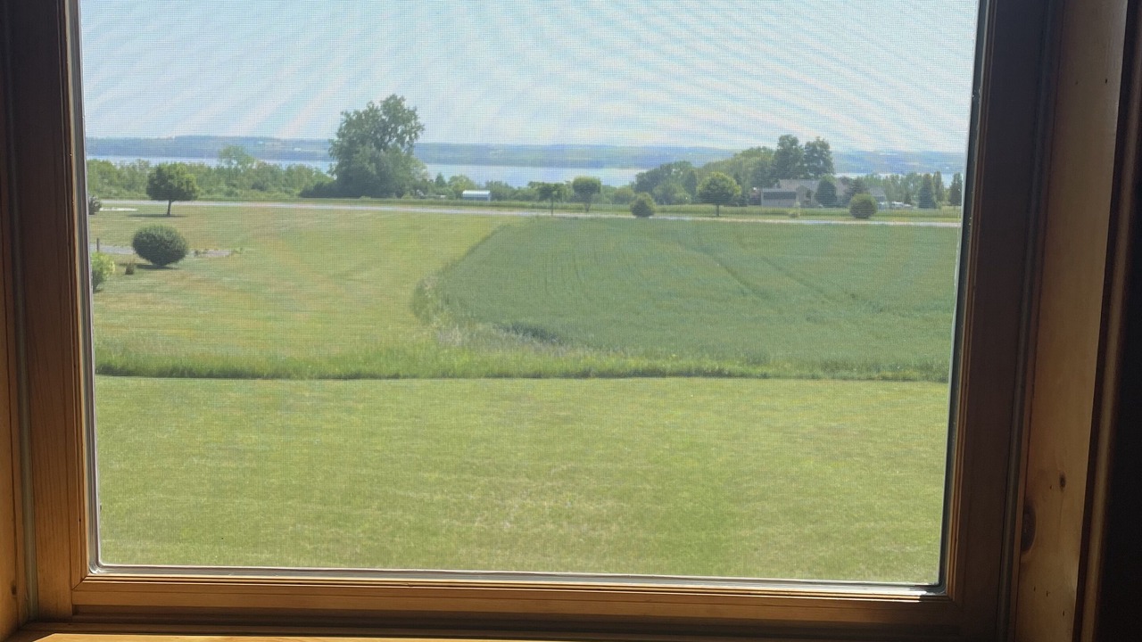 Photo of Outdoor in Geneva