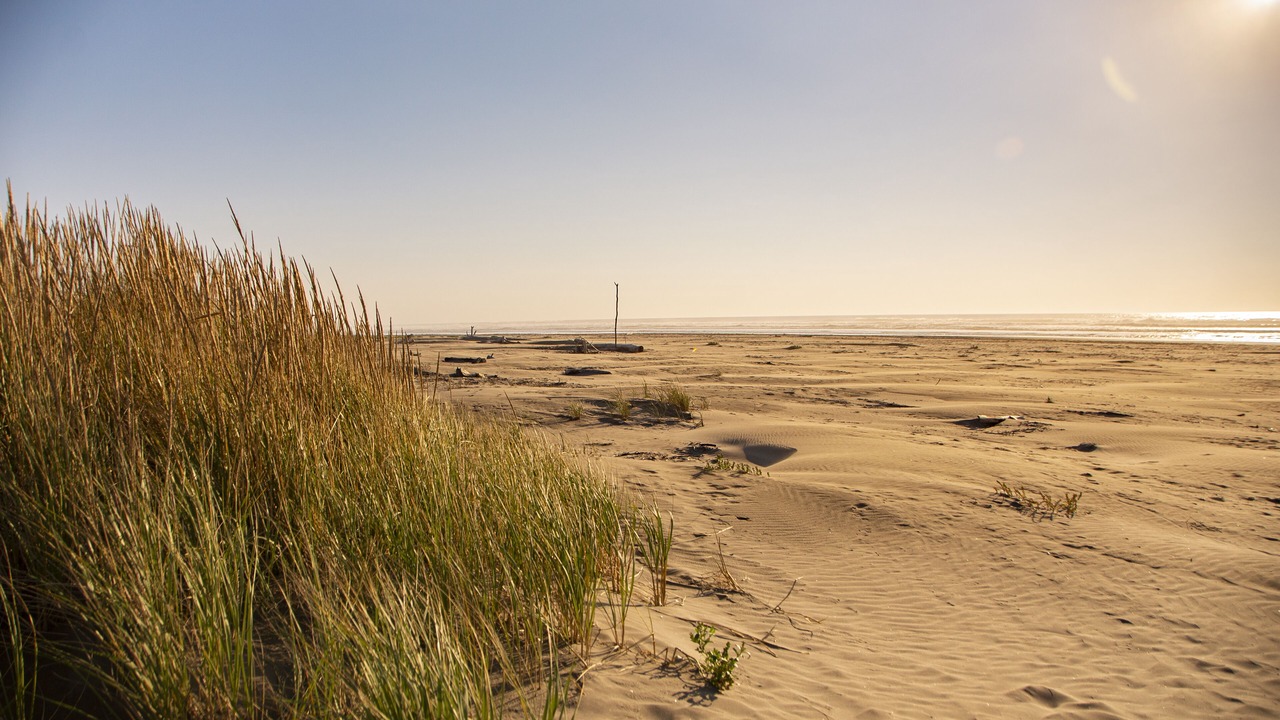 Photo of Others in Ocean City