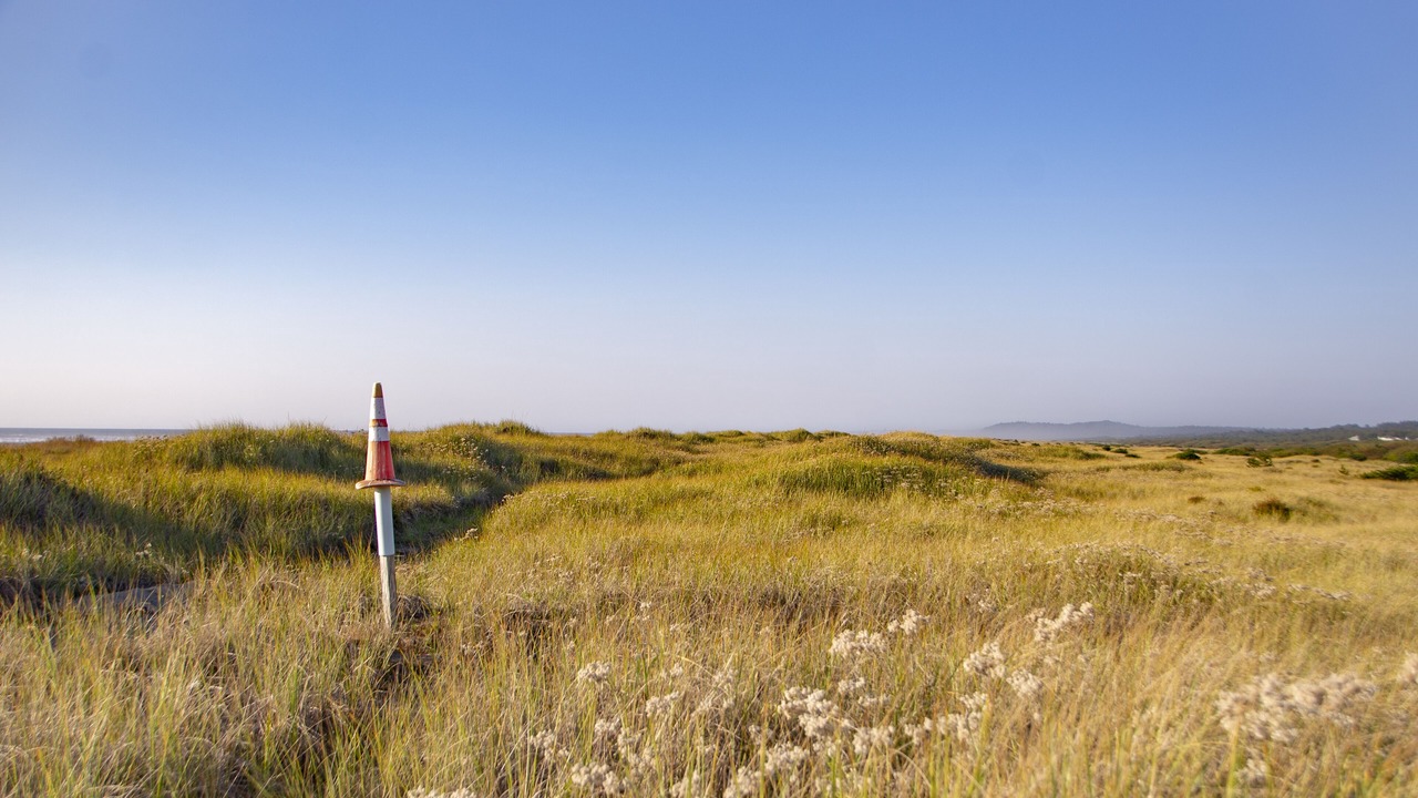 Photo of Others in Ocean City