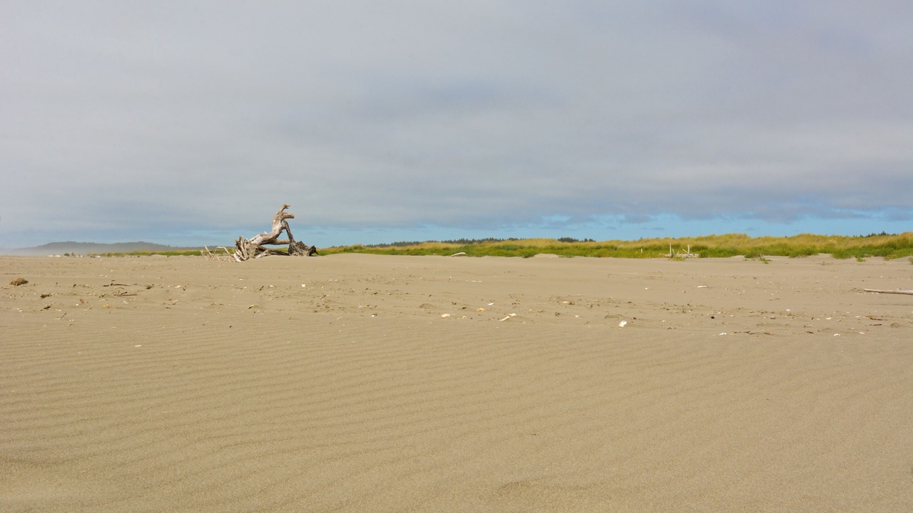 Photo of Others in Ocean City