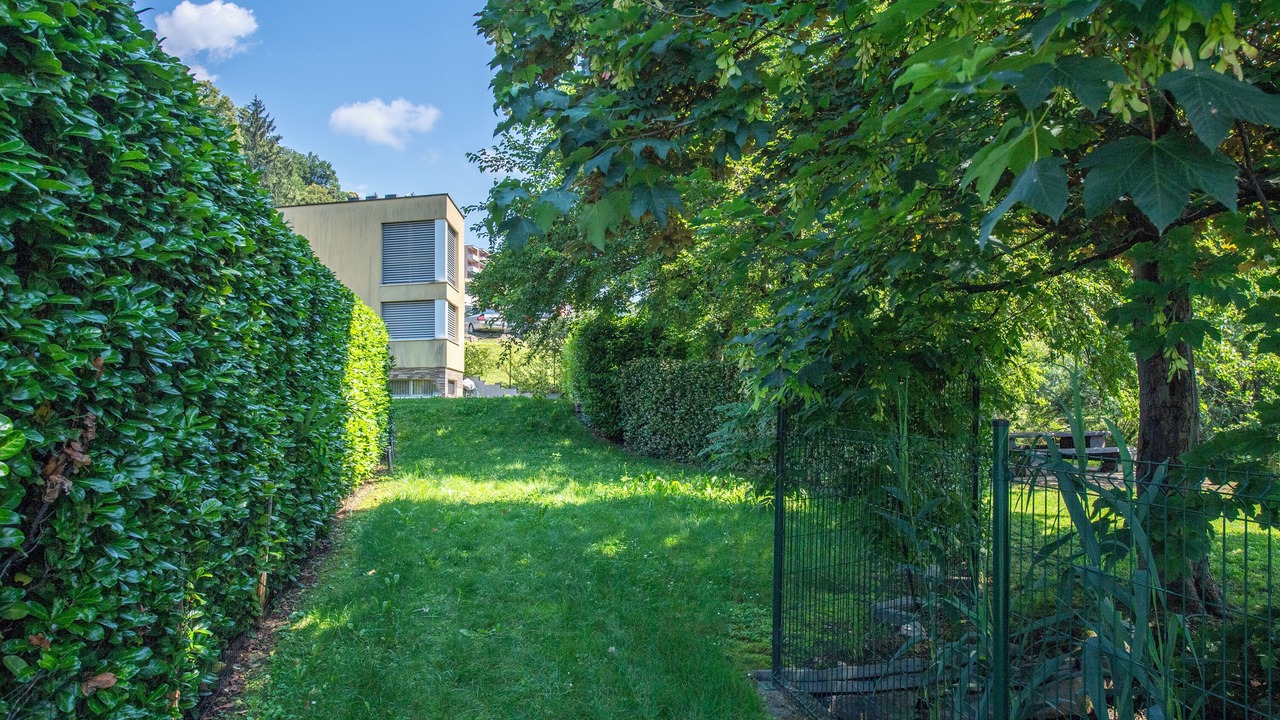 Photo of Outdoor in Caslano