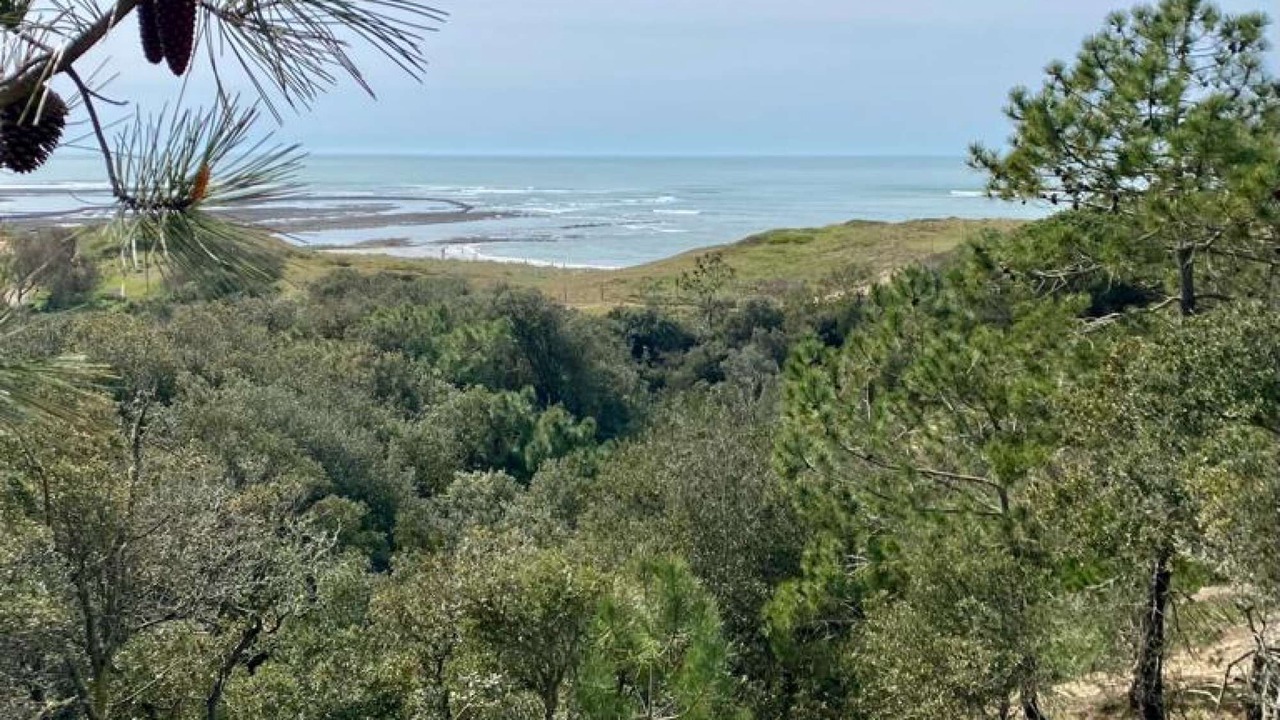 Photo of Others in Saint-Georges-d'Oleron