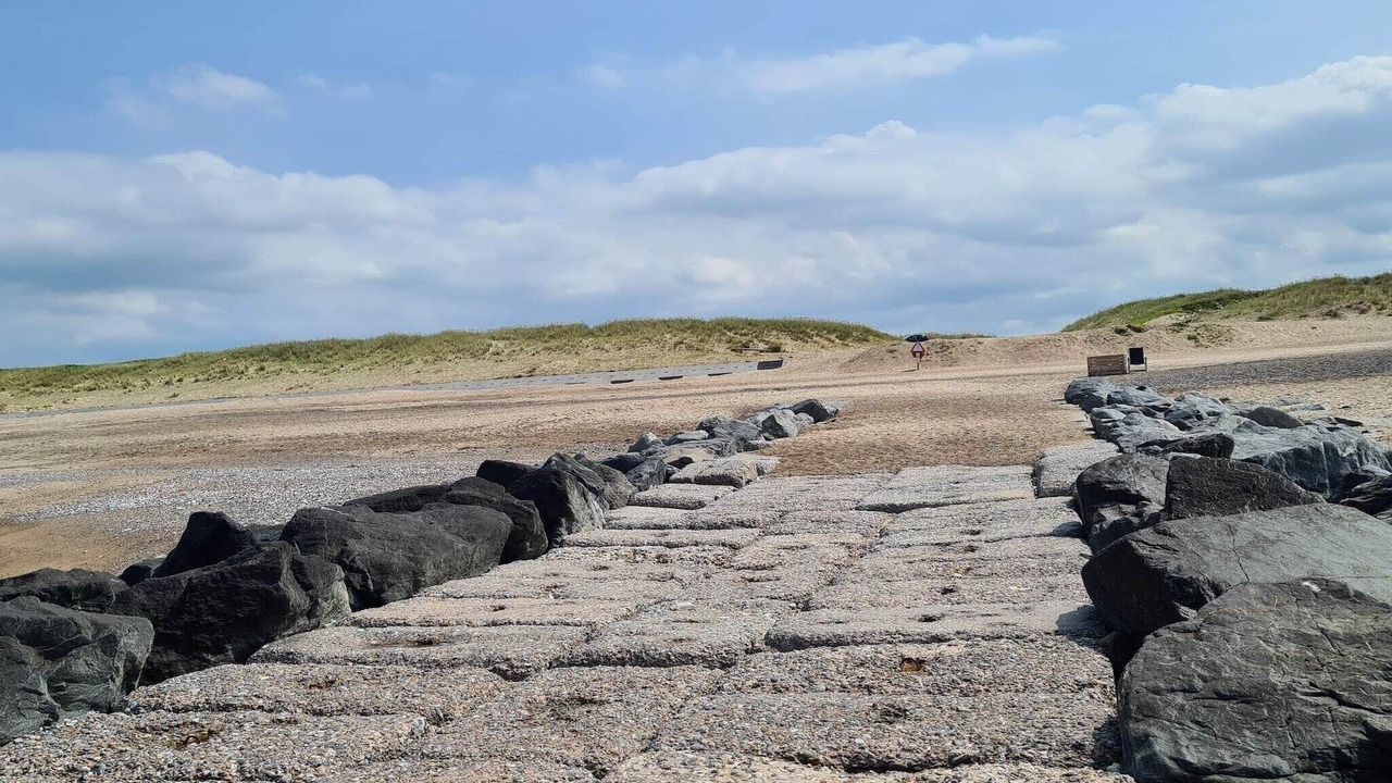 Photo of Others in Trans