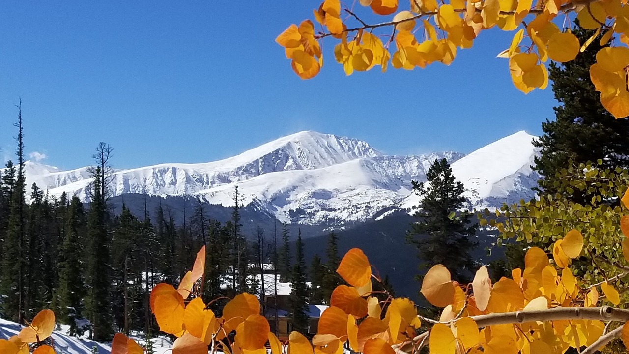 Photo of Others in Breckenridge Heights