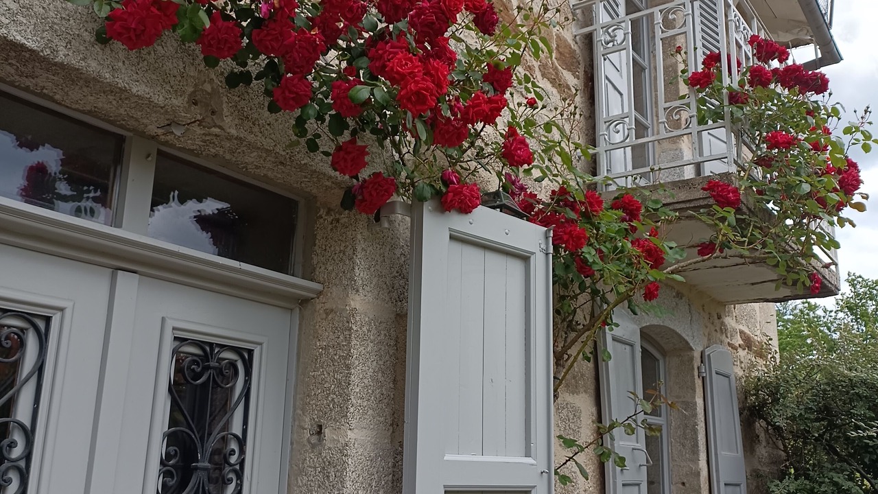 Photo of Outdoor in Chataigneraie Cantalienne