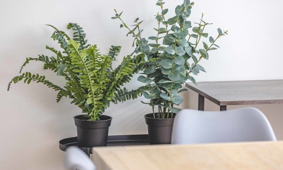 Photo of Others in Windsor