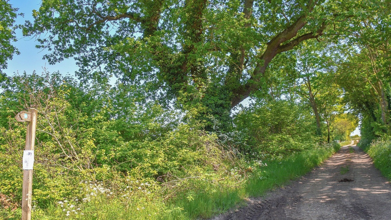 Photo of Others in Foxley