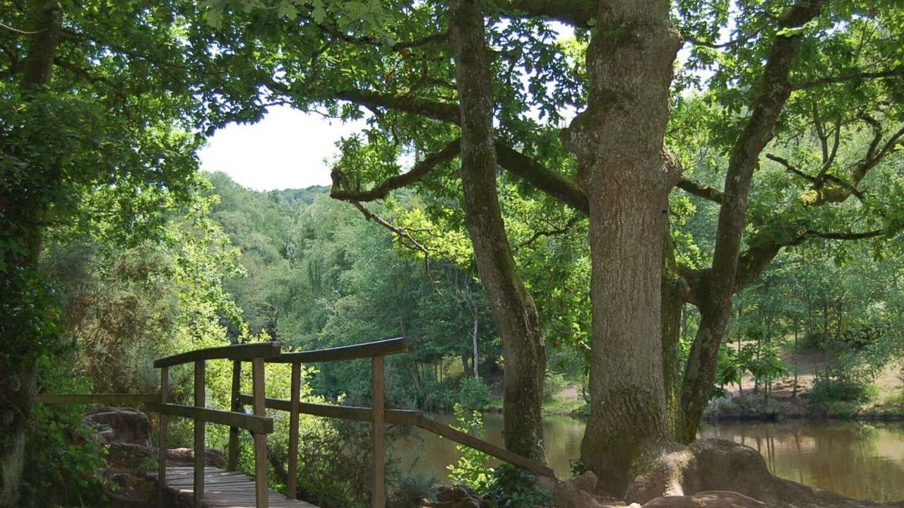 Photo of Outdoor in Saint-Malon-sur-Mel