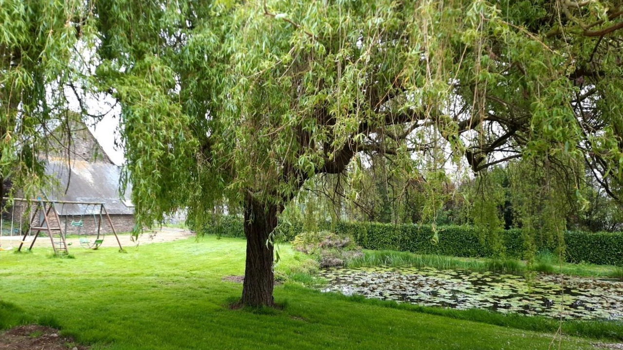 Photo of Outdoor in Saint-Malon-sur-Mel