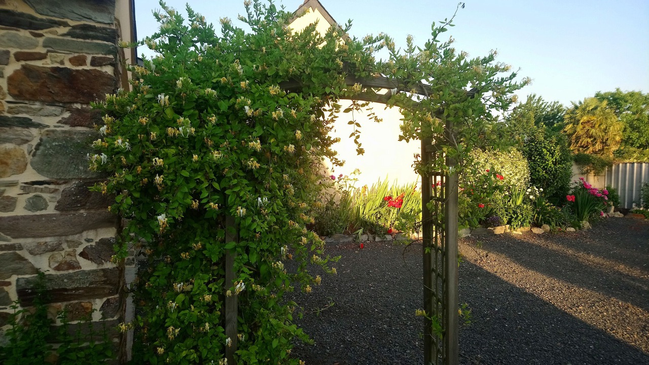 Photo of Outdoor in Bain-de-Bretagne