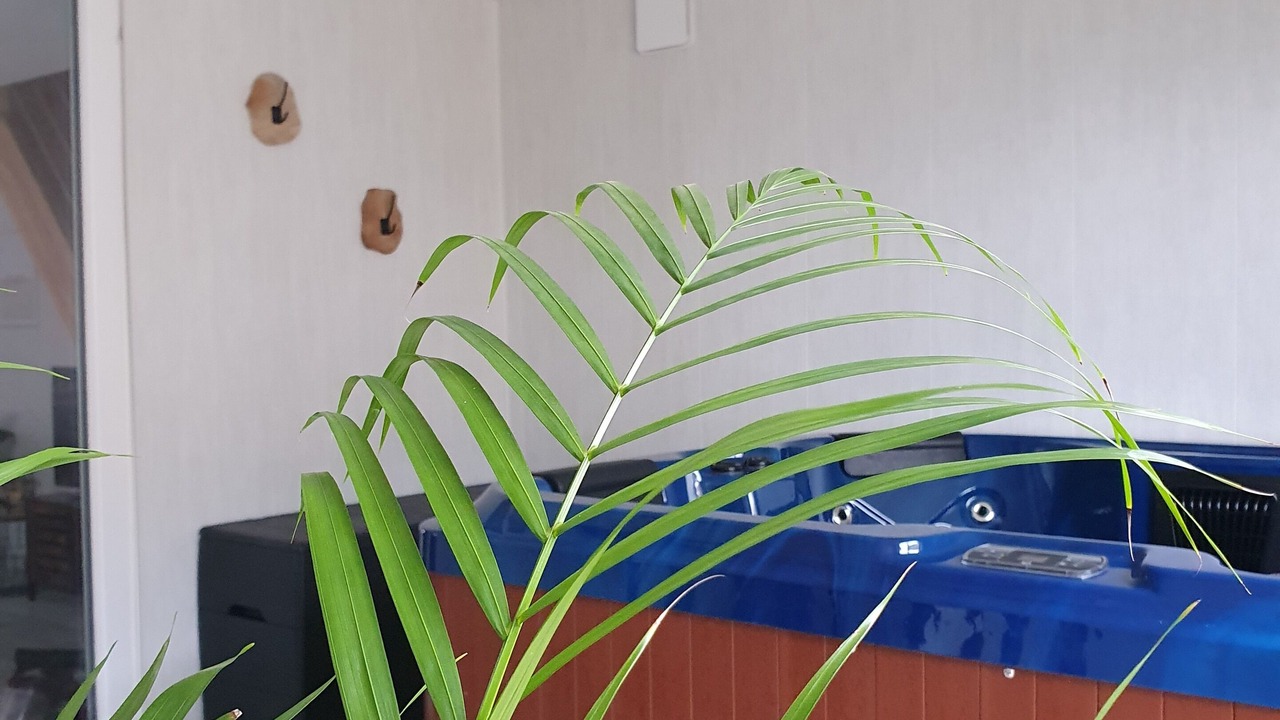 Photo of Others in Hesse