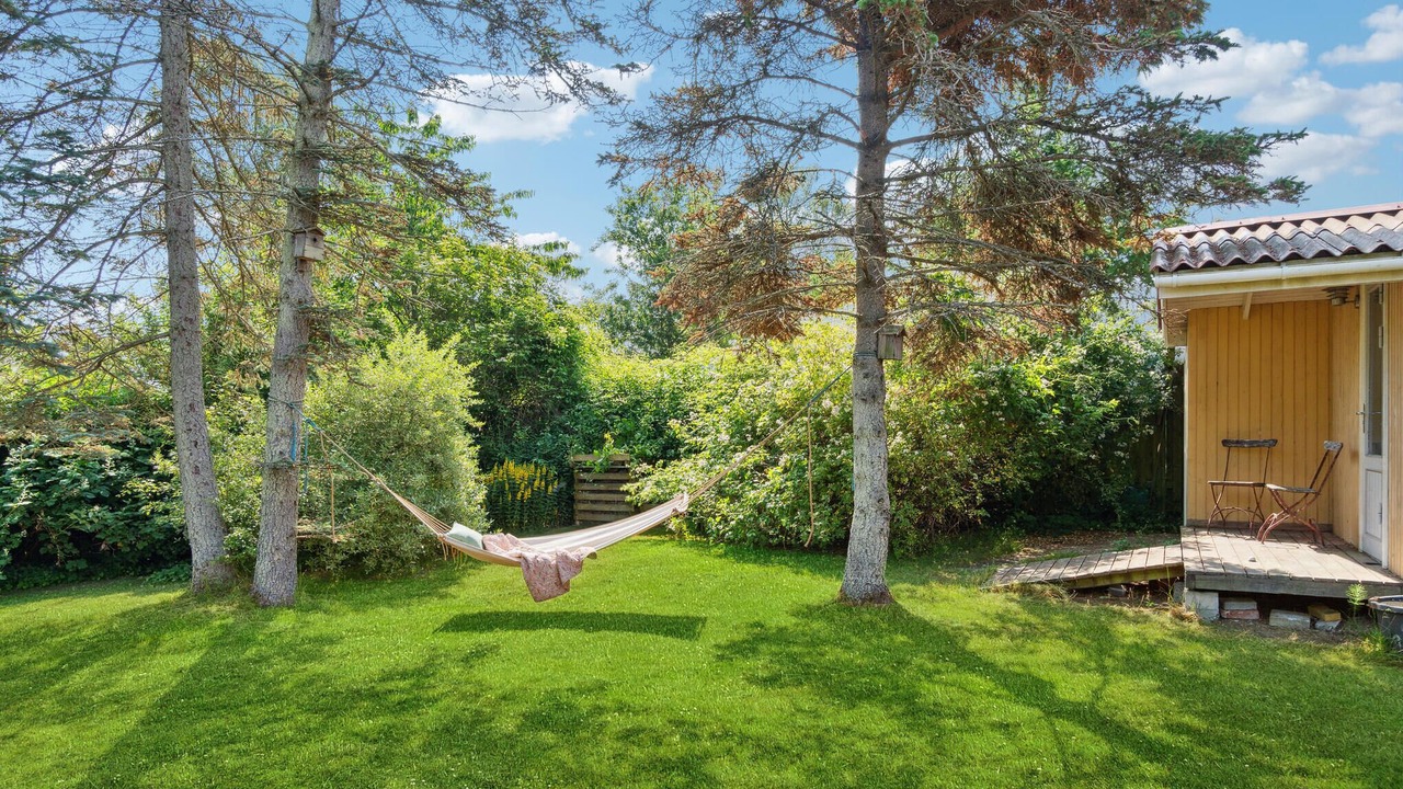 Photo of Others in Holloselund