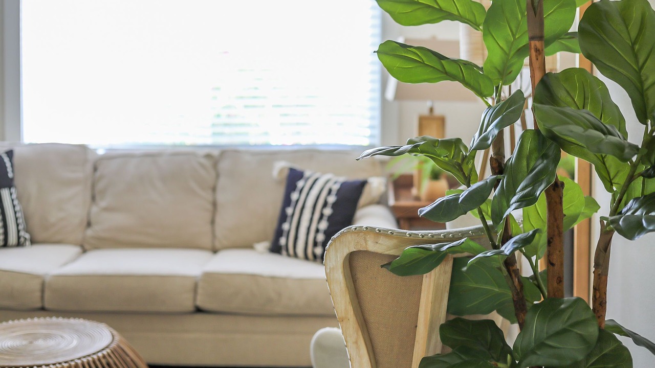 Photo of Livingroom in Moscow