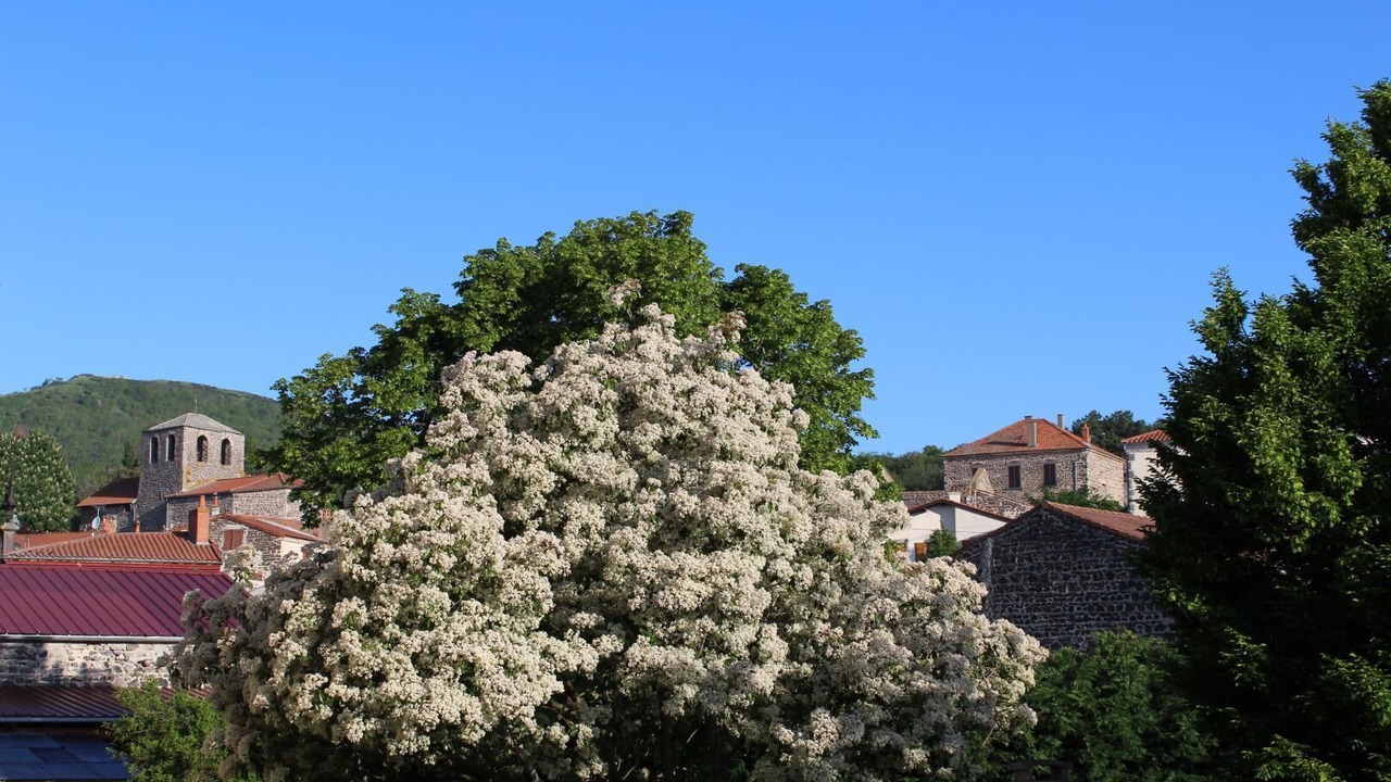 Photo of Outdoor in Solignat
