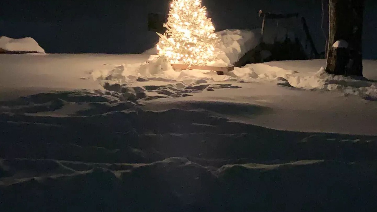 Photo of Outdoor in Mayfield