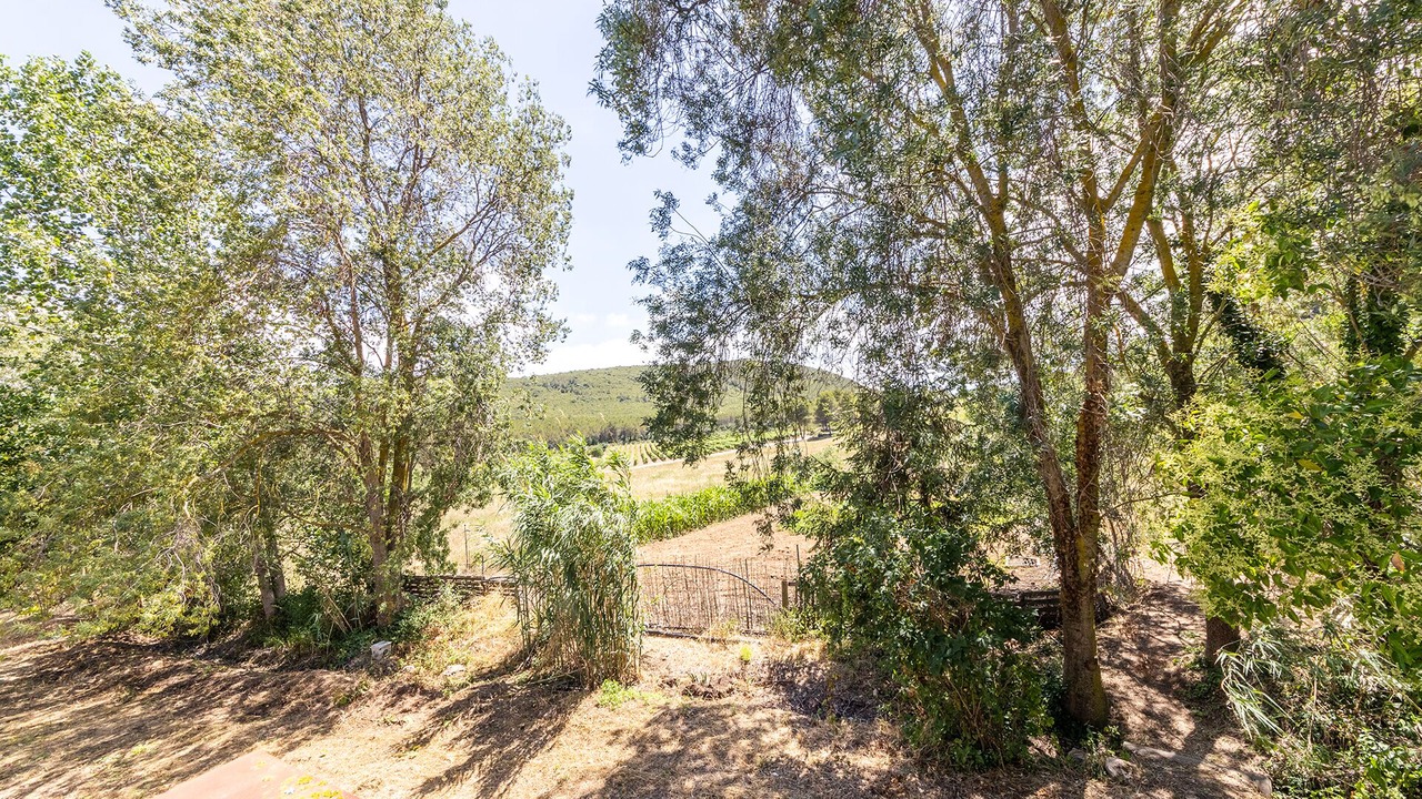 Photo of Outdoor in El Montmell