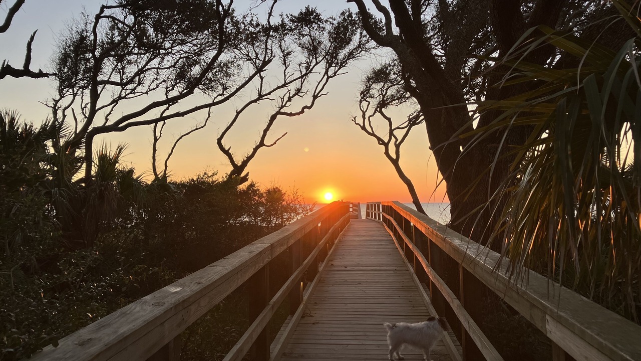 Photo of Others in Jekyll Island